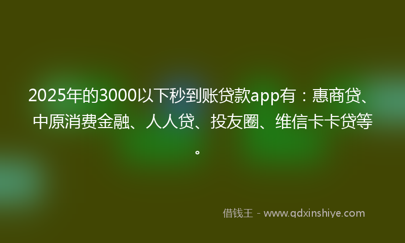 2025年的3000以下秒到账贷款app有：惠商贷、中原消费金融、人人贷、投友圈、维信卡卡贷等。