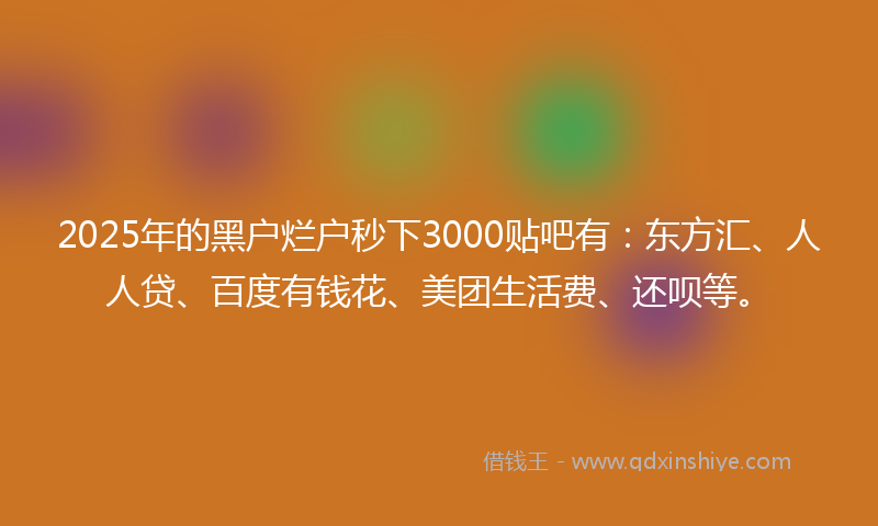 2025年的黑户烂户秒下3000贴吧有：东方汇、人人贷、百度有钱花、美团生活费、还呗等。