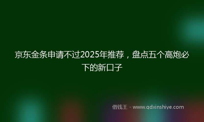 京东金条申请不过2025年推荐，盘点五个高炮必下的新口子