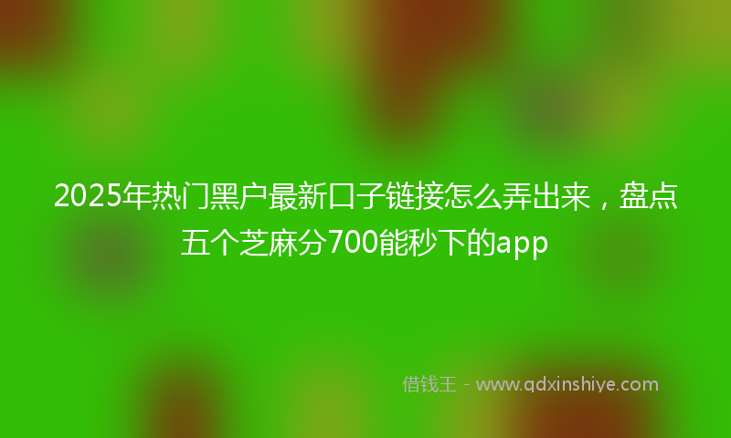 2025年热门黑户最新口子链接怎么弄出来，盘点五个芝麻分700能秒下的app