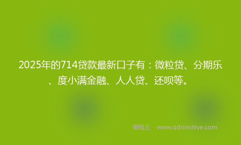 2025年的714贷款最新口子有：微粒贷、分期乐、度小满金融、人人贷、还呗等。
