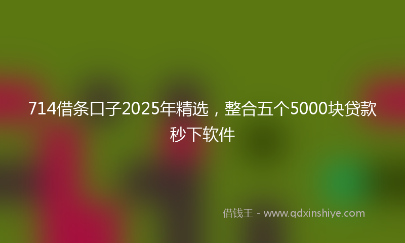 714借条口子2025年精选，整合五个5000块贷款秒下软件