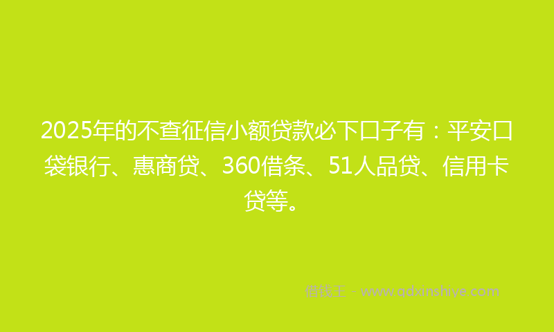 2025年的不查征信小额贷款必下口子有：平安口袋银行、惠商贷、360借条、51人品贷、信用卡贷等。
