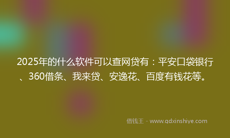 2025年的什么软件可以查网贷有：平安口袋银行、360借条、我来贷、安逸花、百度有钱花等。