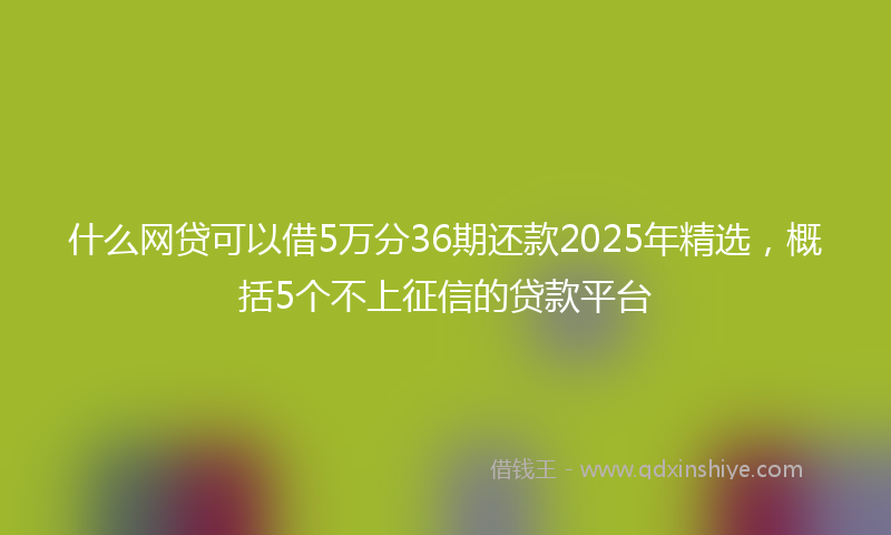 什么网贷可以借5万分36期还款2025年精选，概括5个不上征信的贷款平台