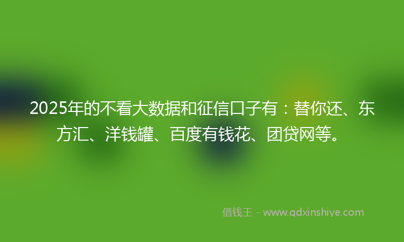 2025年的不看大数据和征信口子有：替你还、东方汇、洋钱罐、百度有钱花、团贷网等。