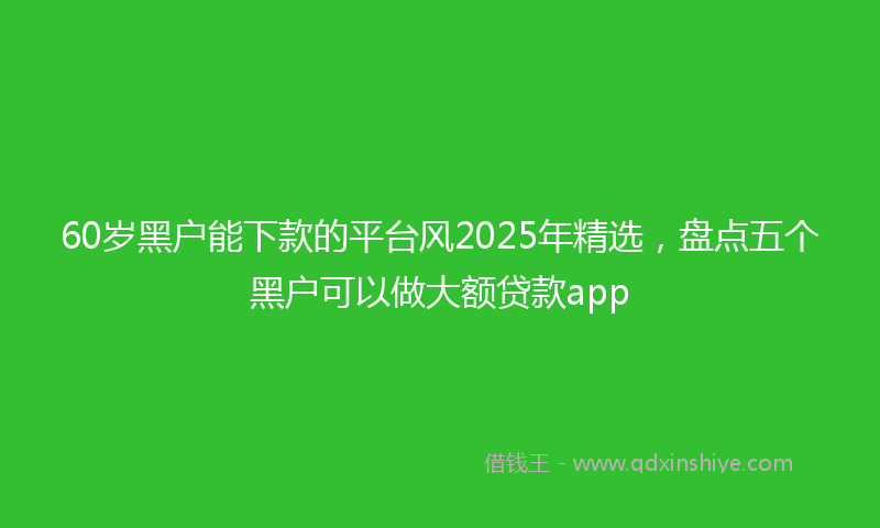 60岁黑户能下款的平台风2025年精选，盘点五个黑户可以做大额贷款app