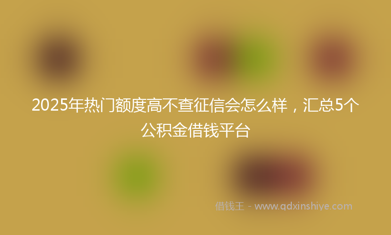2025年热门额度高不查征信会怎么样，汇总5个公积金借钱平台