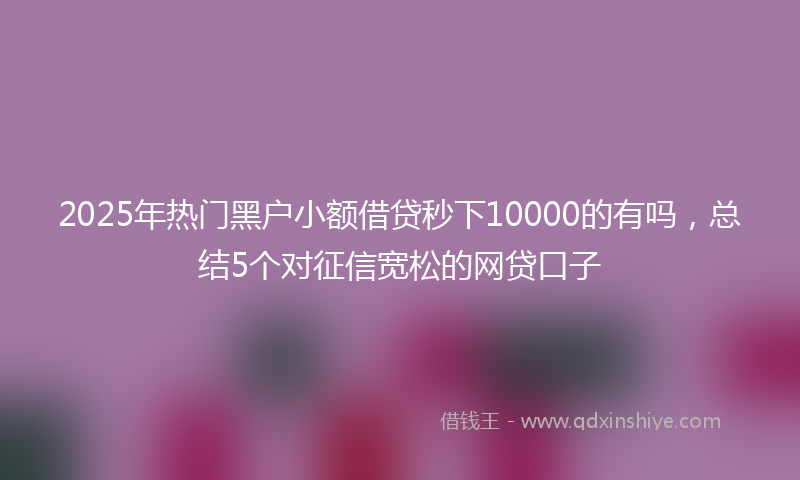 2025年热门黑户小额借贷秒下10000的有吗，总结5个对征信宽松的网贷口子