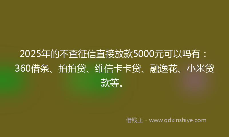 2025年的不查征信直接放款5000元可以吗有：360借条、拍拍贷、维信卡卡贷、融逸花、小米贷款等。