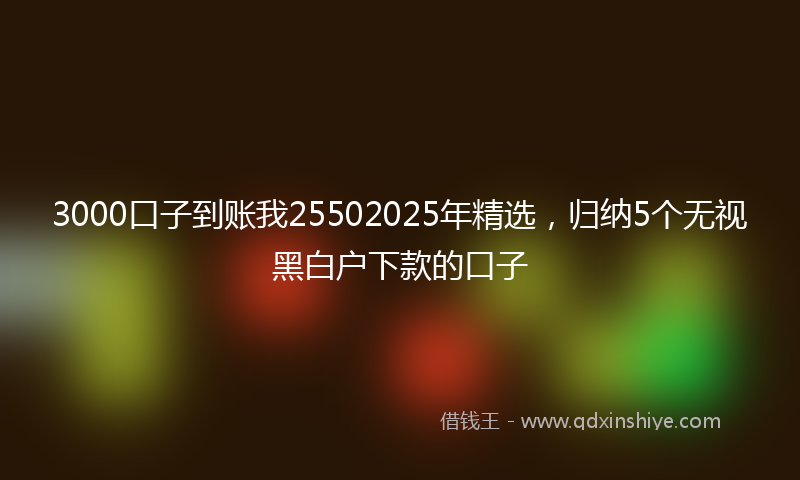 3000口子到账我25502025年精选，归纳5个无视黑白户下款的口子