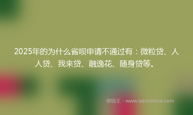 2025年的为什么省呗申请不通过有：微粒贷、人人贷、我来贷、融逸花、随身贷等。