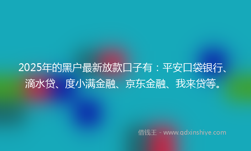 2025年的黑户最新放款口子有：平安口袋银行、滴水贷、度小满金融、京东金融、我来贷等。