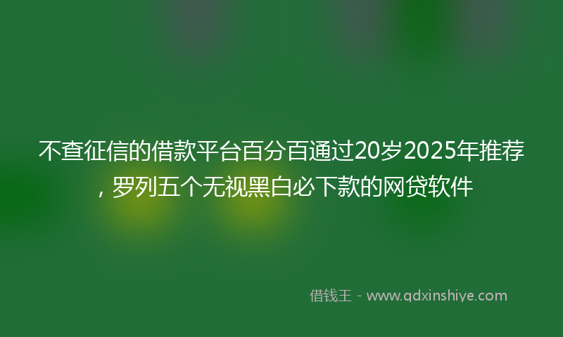 不查征信的借款平台百分百通过20岁2025年推荐，罗列五个无视黑白必下款的网贷软件