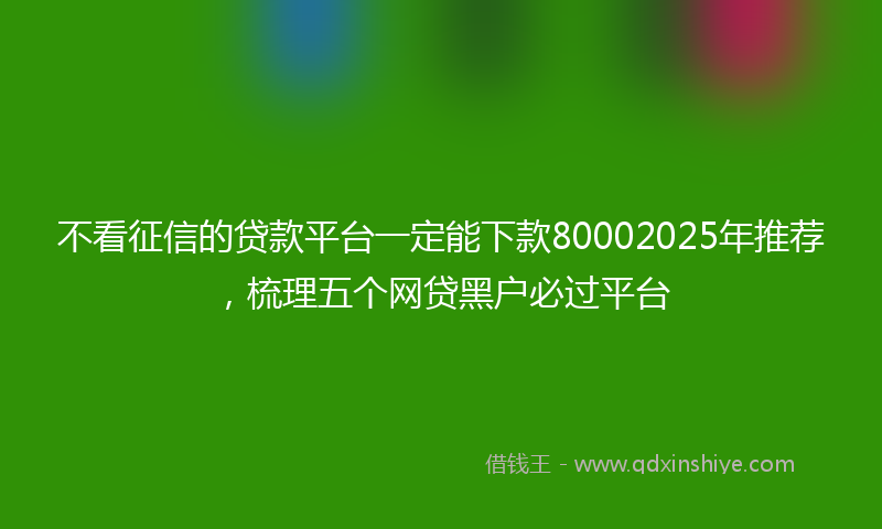 不看征信的贷款平台一定能下款80002025年推荐，梳理五个网贷黑户必过平台