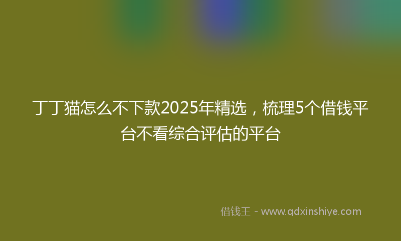 丁丁猫怎么不下款2025年精选，梳理5个借钱平台不看综合评估的平台