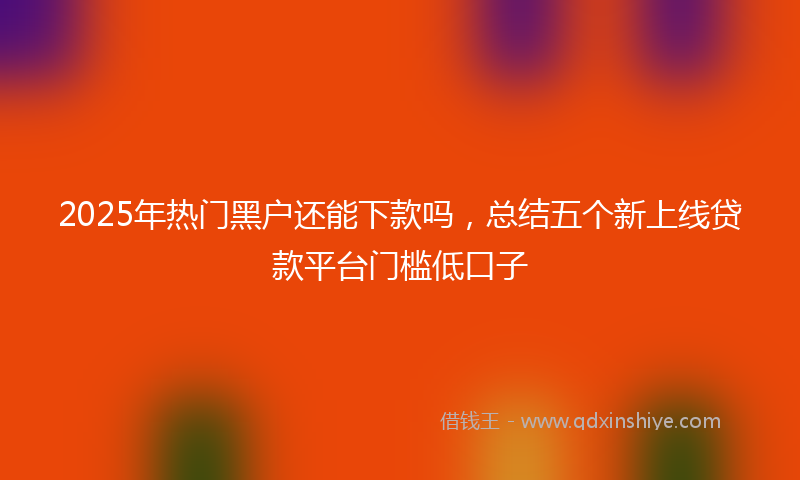2025年热门黑户还能下款吗，总结五个新上线贷款平台门槛低口子
