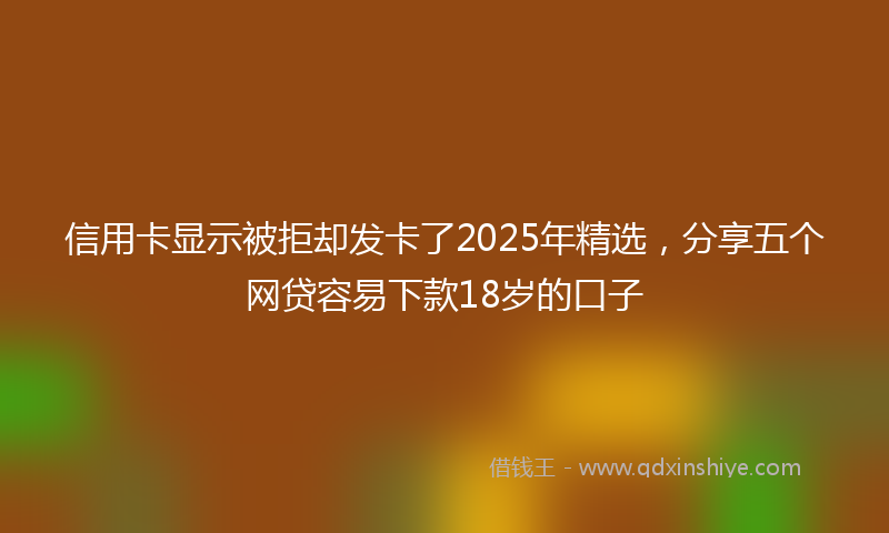 信用卡显示被拒却发卡了2025年精选，分享五个网贷容易下款18岁的口子