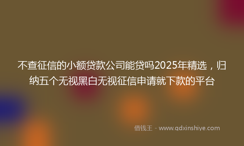 不查征信的小额贷款公司能贷吗2025年精选，归纳五个无视黑白无视征信申请就下款的平台