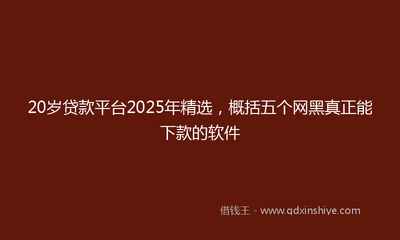 20岁贷款平台2025年精选，概括五个网黑真正能下款的软件