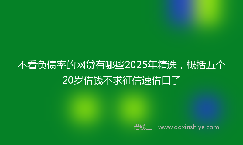 不看负债率的网贷有哪些2025年精选，概括五个20岁借钱不求征信速借口子