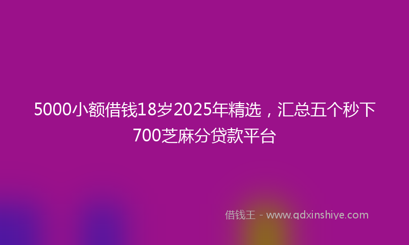 5000小额借钱18岁2025年精选，汇总五个秒下700芝麻分贷款平台