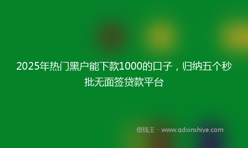 2025年热门黑户能下款1000的口子，归纳五个秒批无面签贷款平台