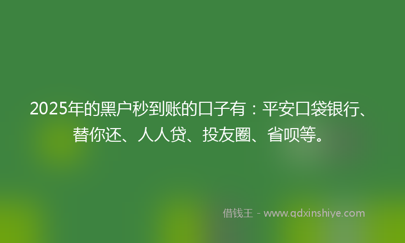 2025年的黑户秒到账的口子有：平安口袋银行、替你还、人人贷、投友圈、省呗等。