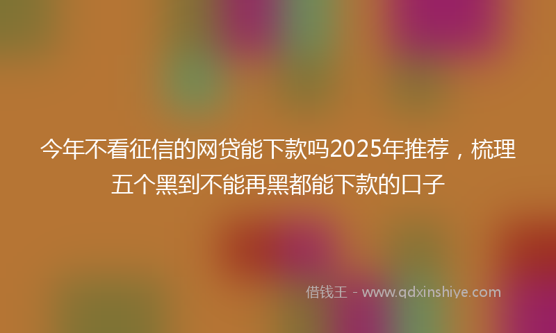 今年不看征信的网贷能下款吗2025年推荐，梳理五个黑到不能再黑都能下款的口子