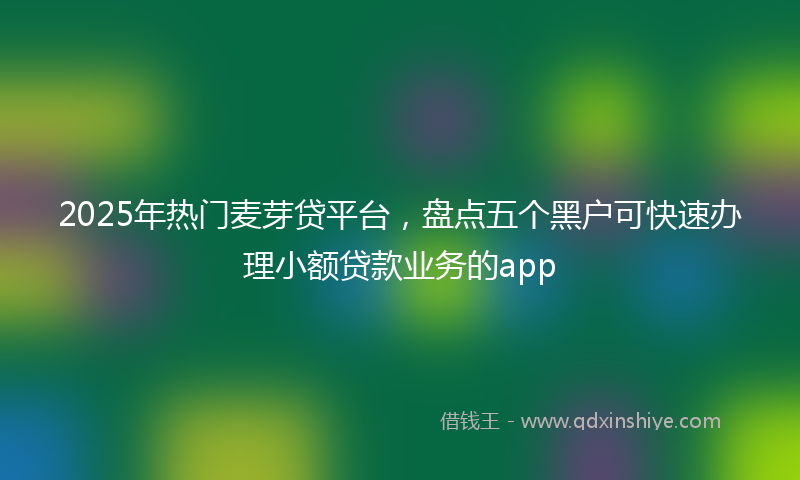 2025年热门麦芽贷平台，盘点五个黑户可快速办理小额贷款业务的app