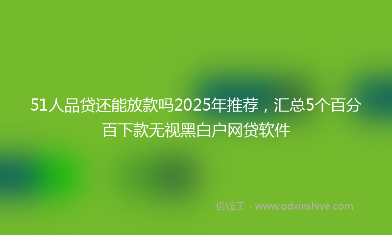 51人品贷还能放款吗2025年推荐，汇总5个百分百下款无视黑白户网贷软件