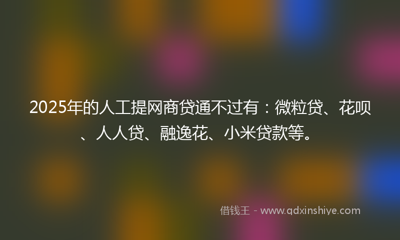 2025年的人工提网商贷通不过有：微粒贷、花呗、人人贷、融逸花、小米贷款等。
