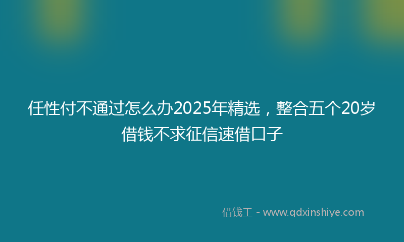 任性付不通过怎么办2025年精选，整合五个20岁借钱不求征信速借口子