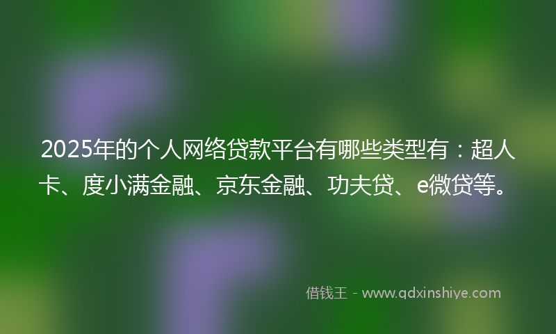 2025年的个人网络贷款平台有哪些类型有：超人卡、度小满金融、京东金融、功夫贷、e微贷等。