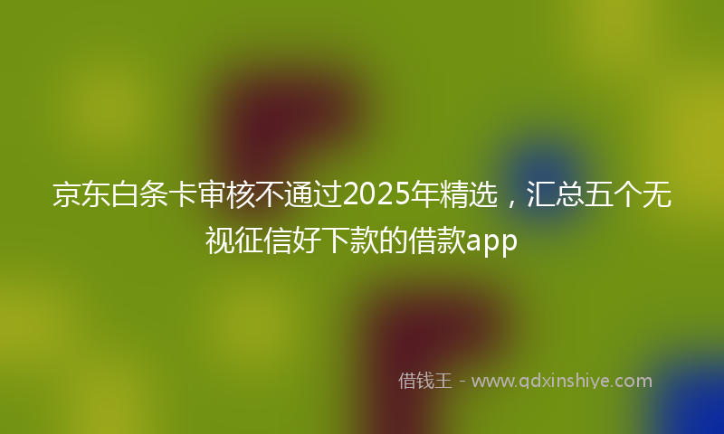 京东白条卡审核不通过2025年精选，汇总五个无视征信好下款的借款app
