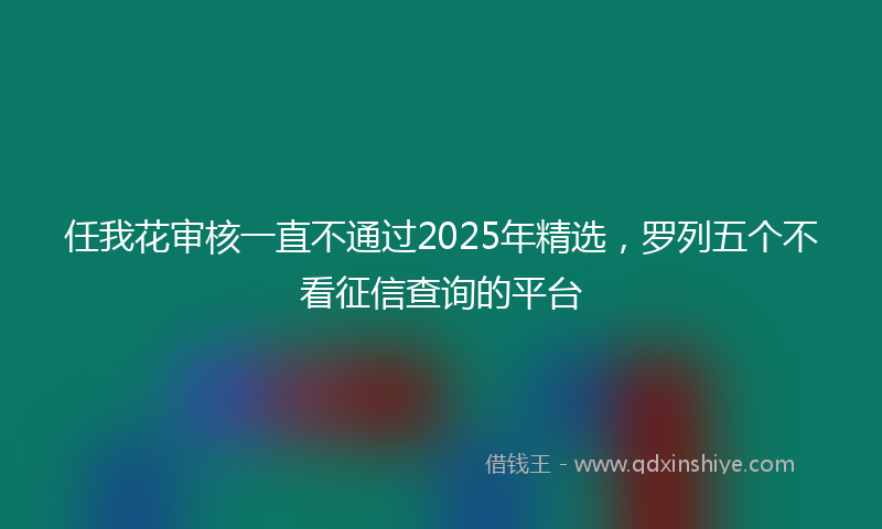 任我花审核一直不通过2025年精选，罗列五个不看征信查询的平台