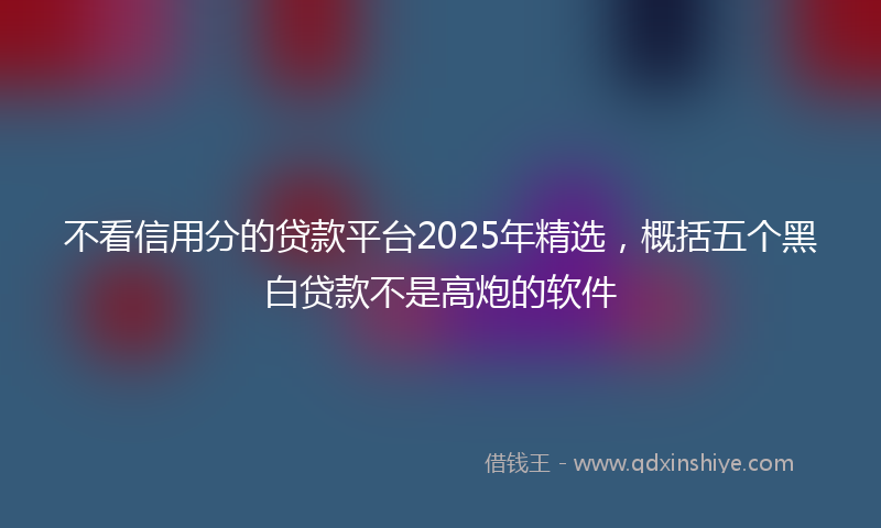 不看信用分的贷款平台2025年精选，概括五个黑白贷款不是高炮的软件