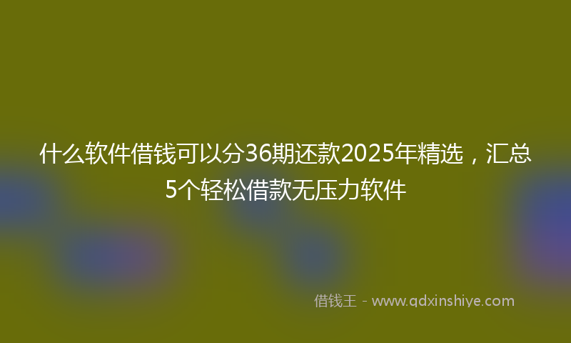 什么软件借钱可以分36期还款2025年精选，汇总5个轻松借款无压力软件