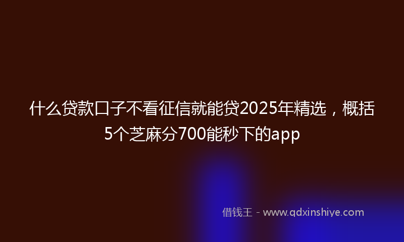 什么贷款口子不看征信就能贷2025年精选，概括5个芝麻分700能秒下的app