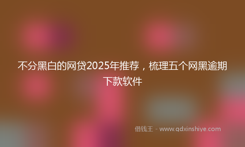 不分黑白的网贷2025年推荐，梳理五个网黑逾期下款软件