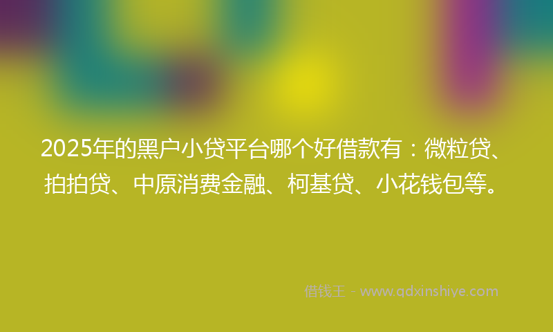 2025年的黑户小贷平台哪个好借款有：微粒贷、拍拍贷、中原消费金融、柯基贷、小花钱包等。