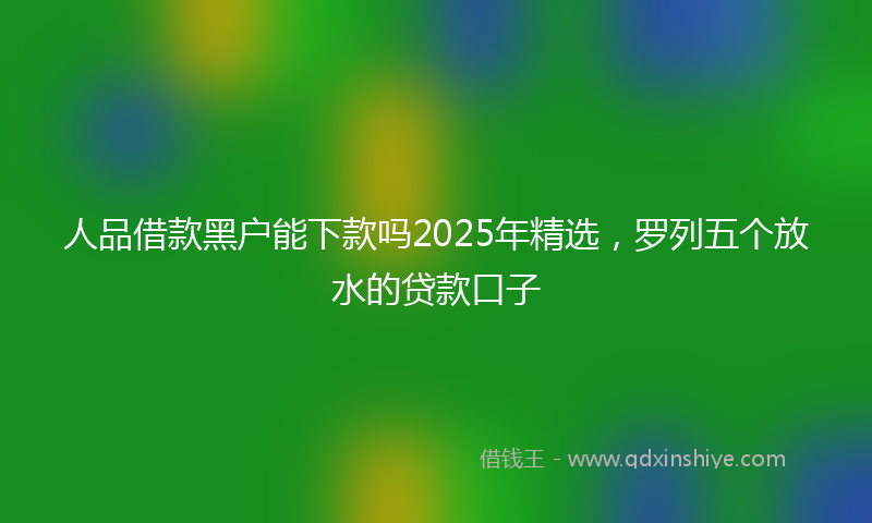 人品借款黑户能下款吗2025年精选，罗列五个放水的贷款口子