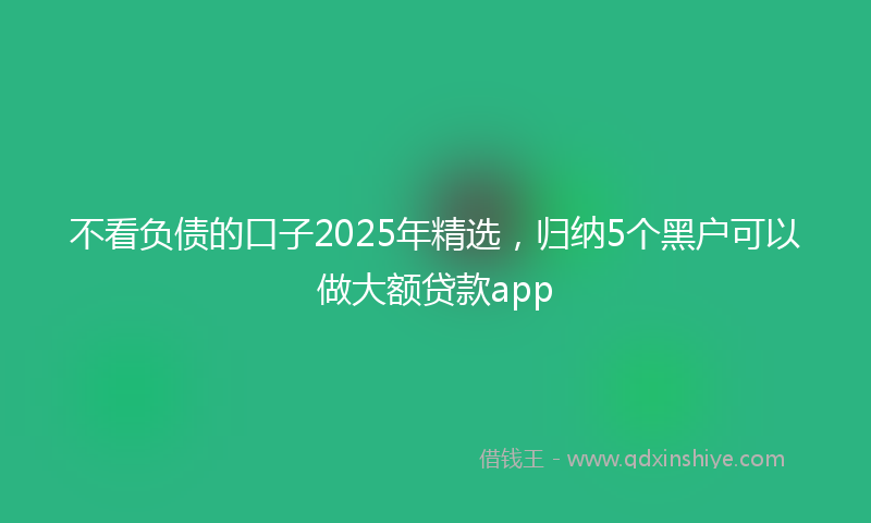 不看负债的口子2025年精选，归纳5个黑户可以做大额贷款app