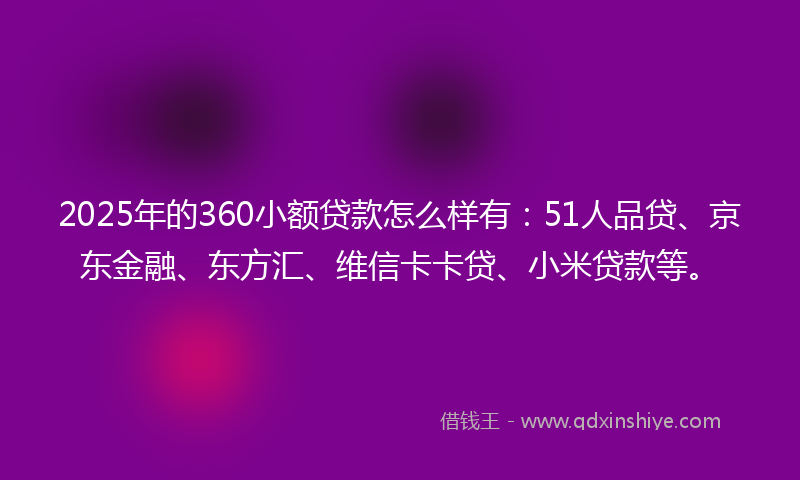 2025年的360小额贷款怎么样有：51人品贷、京东金融、东方汇、维信卡卡贷、小米贷款等。