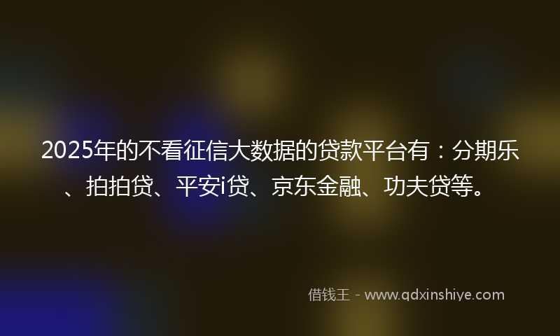2025年的不看征信大数据的贷款平台有：分期乐、拍拍贷、平安i贷、京东金融、功夫贷等。