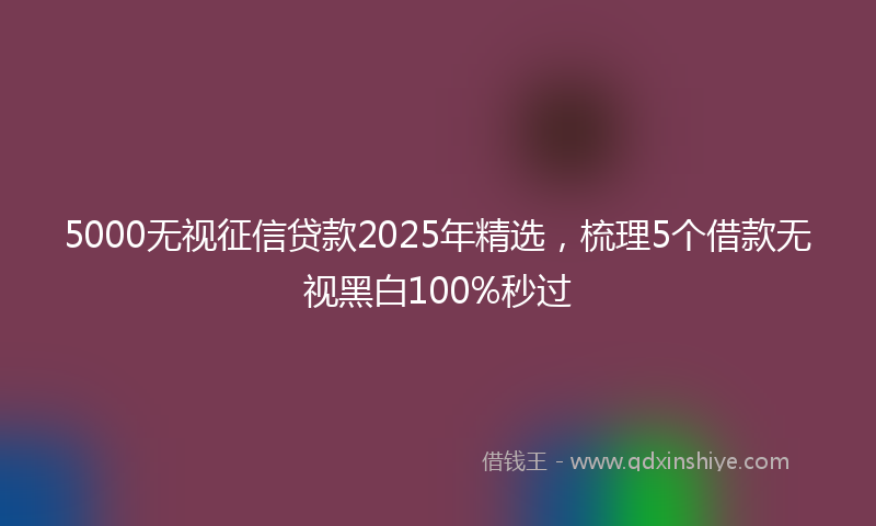 5000无视征信贷款2025年精选，梳理5个借款无视黑白100%秒过