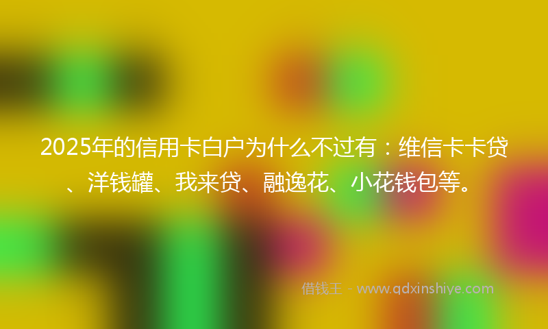 2025年的信用卡白户为什么不过有：维信卡卡贷、洋钱罐、我来贷、融逸花、小花钱包等。