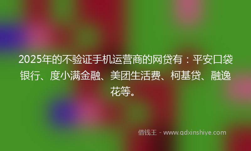 2025年的不验证手机运营商的网贷有：平安口袋银行、度小满金融、美团生活费、柯基贷、融逸花等。
