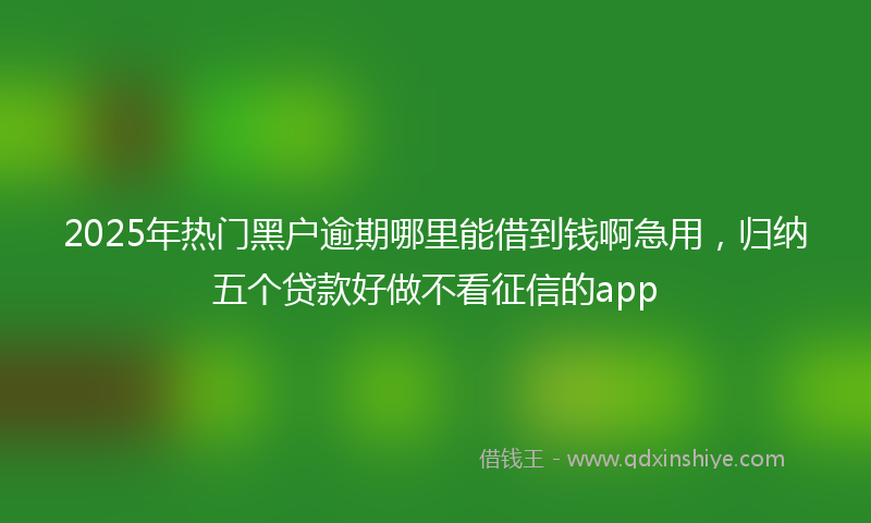 2025年热门黑户逾期哪里能借到钱啊急用，归纳五个贷款好做不看征信的app