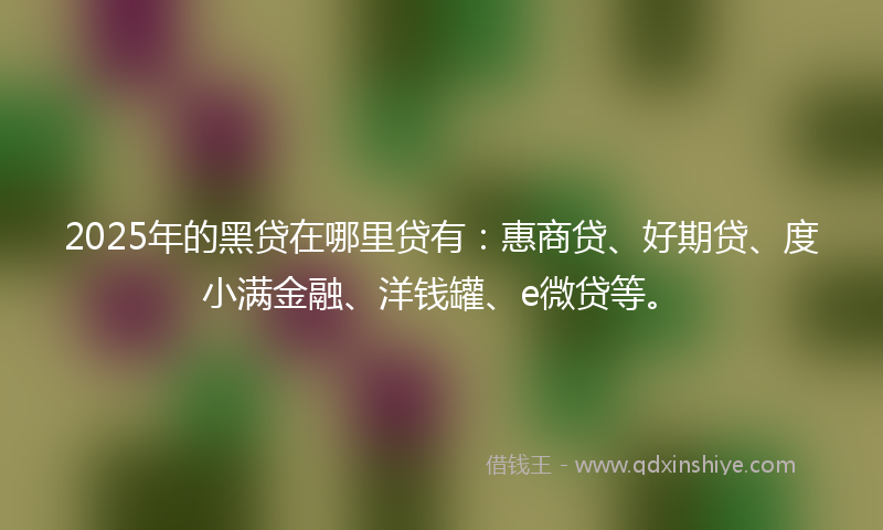 2025年的黑贷在哪里贷有：惠商贷、好期贷、度小满金融、洋钱罐、e微贷等。